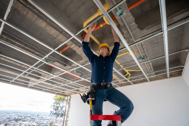 Best Plumbing Repair Near Me  in Greenup, IL