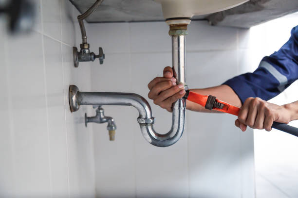 Best Local Plumber Services  in Greenup, IL
